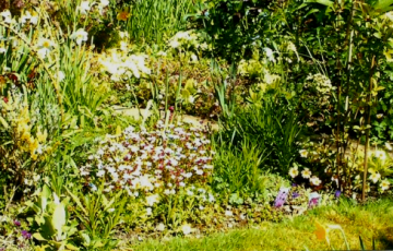 Open Garden – Magnolia House