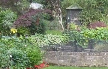 Magnolia House – Open Garden