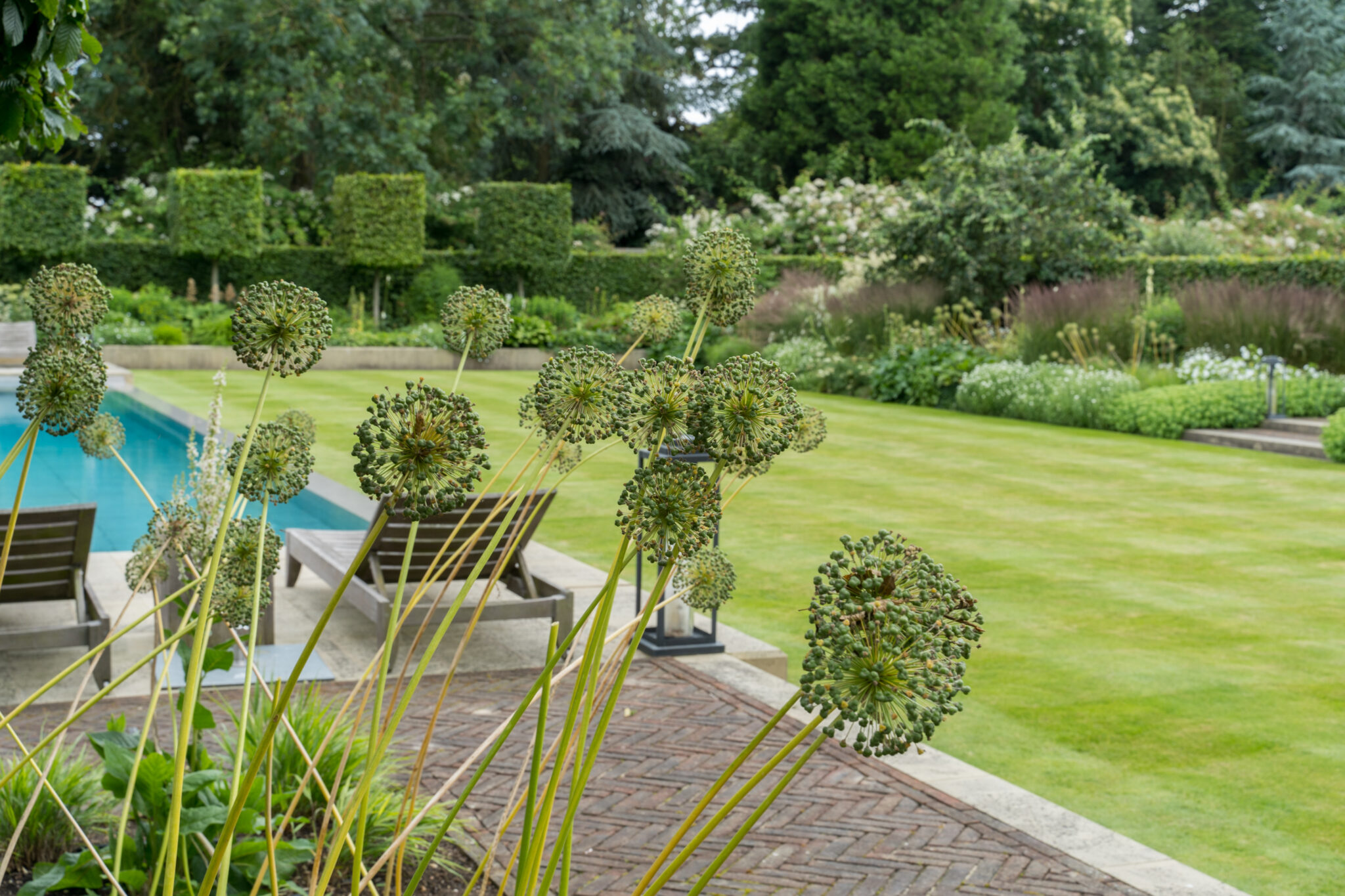 Tythrop Park Open Garden Scannappeal