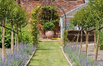 Bledlow Manor – Open Garden