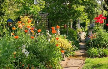 Chartridge Lane 8th May – Open Garden