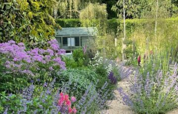 Doggetts Wood Lane Trio – Open Garden