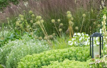 Tythrop Park – Open Garden