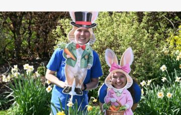 Family Easter fun at Dundridge Manor