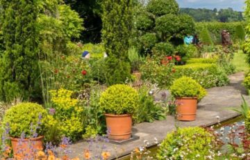 Angling Spring Farm – Open Garden