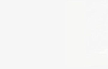 Who killed Elvis – Afternoon talk with Brian Greenan