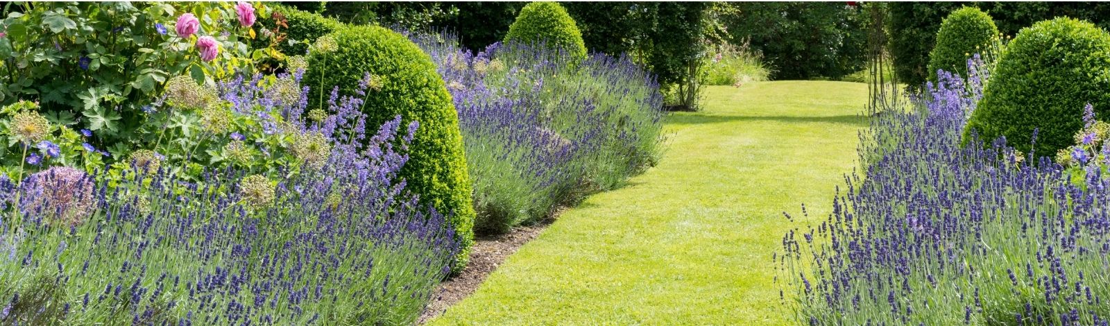 Chiltern Haven Open Garden