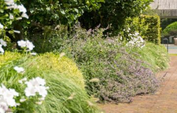 Tythrop Park Open Garden